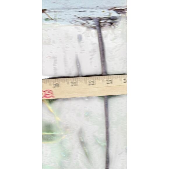 VTG Costa Rica Travel Poster Isla Tortuga Beach Tropical Tourism Original READ - Picture 9 of 10